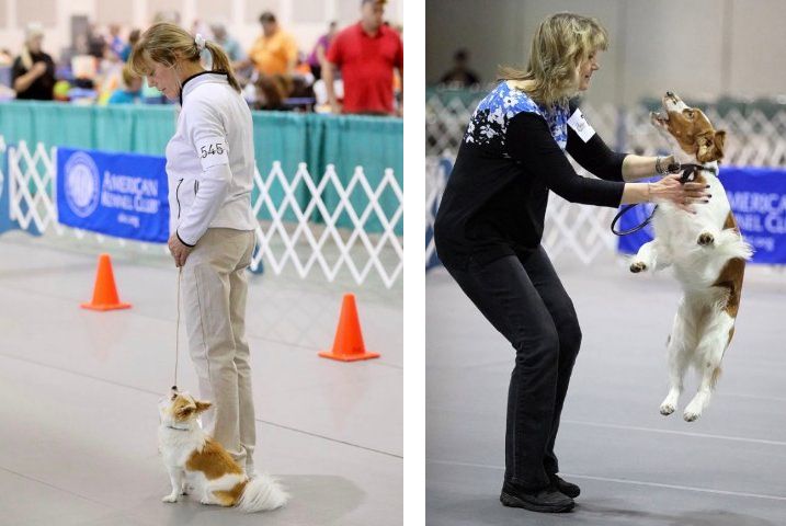 combined images of 2 women handling dogs at an obedience dog show