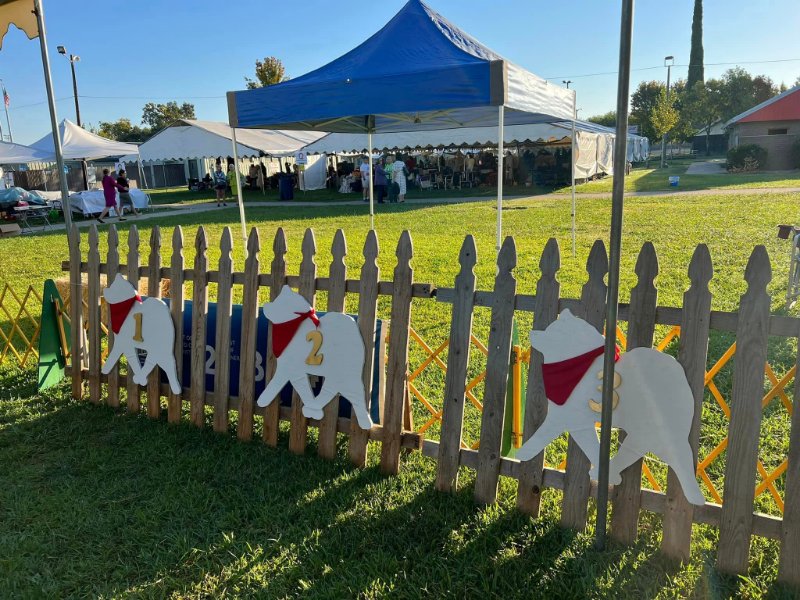Samoyed Club of America National Specialty 2022 Fence with samoyed outline cutouts