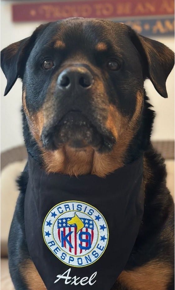 Therapy Dog: Rottweiler named "Axel"