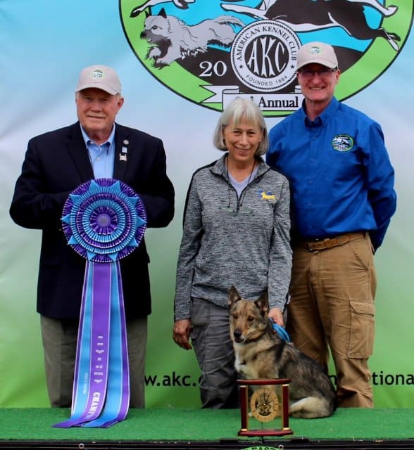 AKC Fast CAT Invitational Pure Speed Division winner HC 2: Agilqwest Northernranger Of Champoeg FCAT SWE, a Swedish Vallhund known as “Strider,” owned by Joan Bennett of Illinois.L-R: AKC Executive Vice President of Sports & Events Doug Ljungren, Joan Bennett, Field Representative Joe Shoemaker