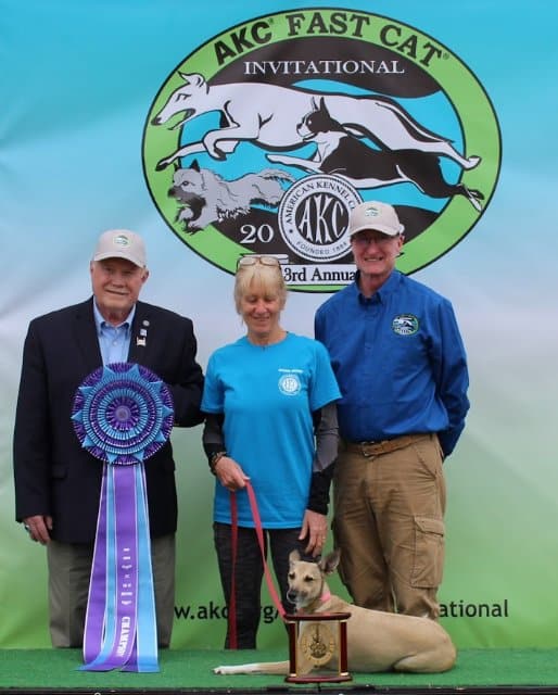 AKC Fast CAT Invitational Pure Speed Division Winner HC 1.5: This Girl Is On Fire OA OAJ CA FCAT, an All American Dog known as “Firefly,” owned by Karen Skoyec of Florida.L - R: AKC Executive Vice President of Sports & Events Doug Ljungren, Karen Skoyec, Field Representative Joe Shoemaker