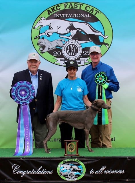 AKC Fast CAT InvitationalPure Speed Division HC 1: Jammin’ Afternoon Tea At Chartwell CD BN RN JC FCAT3 CGC TKN ATT, a Whippet known as “Winston,” owned by Ellen Bonacarti and Susan Farebrother of New Jersey. L - R: AKC Executive Vice President of Sports & Events Doug Ljungren, Susan Farebrother, Field Representative Joe Shoemaker