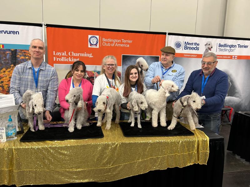 From the old pros to the newest puppy owner, all of the exhibitors brought their dogs and a wealth of information. All questions were cheerfully answered.