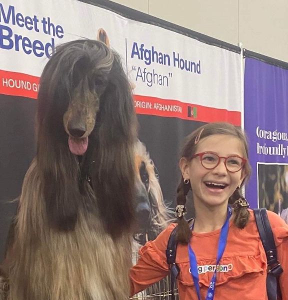 The expression on this young visitor’s face when she discovered purebred dogs tells us that her parents may not have a real vacation for quite some time. (Teri Tevlin photo)
