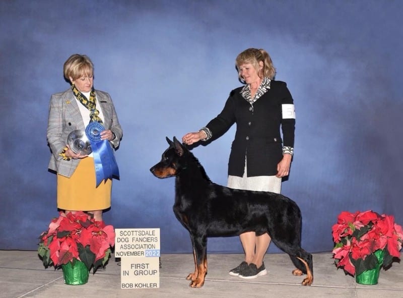 Owner handler Dawn Johnson winning first in group with her Beauceron dog