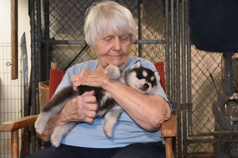 Judith M Russell holding a puppy