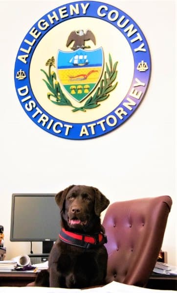‘Rune’ hanging out with the District Attorney of Allegheny County.