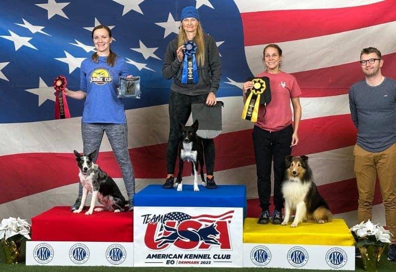 Viveka Rosenberger with ‘Monty’ placing 3rd in a round at European Open World Team Tryouts 2022. He earned a spot as an alternate for the 2023 EO Team, in a very competitive 20" Division, as the only Sheltie running.
