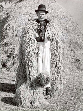 A shepherd with his Komondor