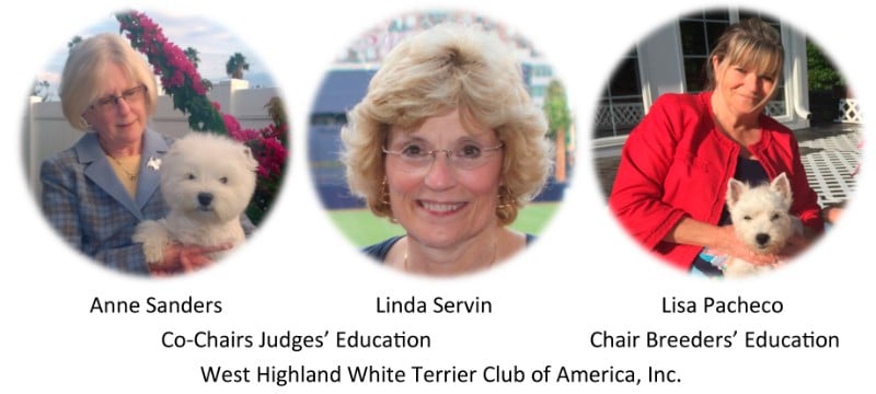 3 photos in one: Left: Anne Sanders, Middle: Linda Servin, Right: Lisa Pacheco