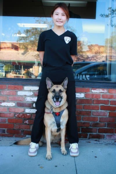 young woman with a German Shepherd Dog