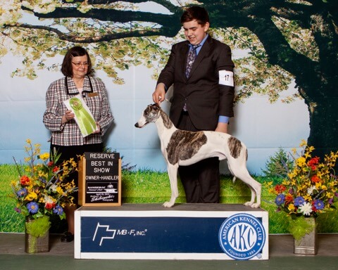 Bryant Janetzke with his Whippet at a dog show