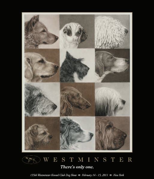 Art School Contest Winner: The Westminster Kennel Club poster promoting the 135th Show, featuring headshot profiles of different breeds, 2011. New York Academy of Art contest-winning artist, Amber Sena. Title, “Canon of Canine.” Proceeds from the poster sales went to the Animal Medical Center of New York.