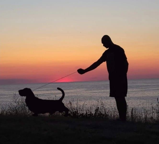 Man standing with a Basset Hound dog with a beautiful sunset behind them