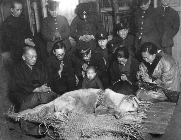 Last known photo of Hachikō – pictured with his owner's partner Yaeko Ueno (front row, second from right) and station staff in mourning in Tokyo on March 8, 1935.