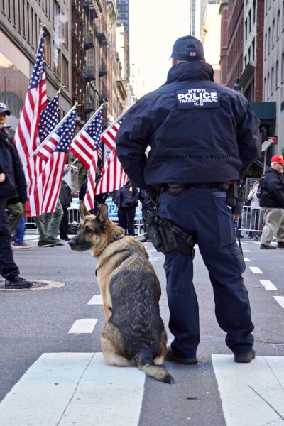 Police officers with K9 Service Dogs