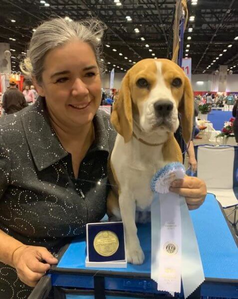 Kara Hite with her Beagle, current special, GCHB Cedar Key Another Round of Chaucer named "Lulu"