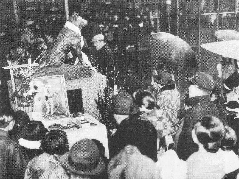March 8, 1936, one year anniversary of Hachiko's death