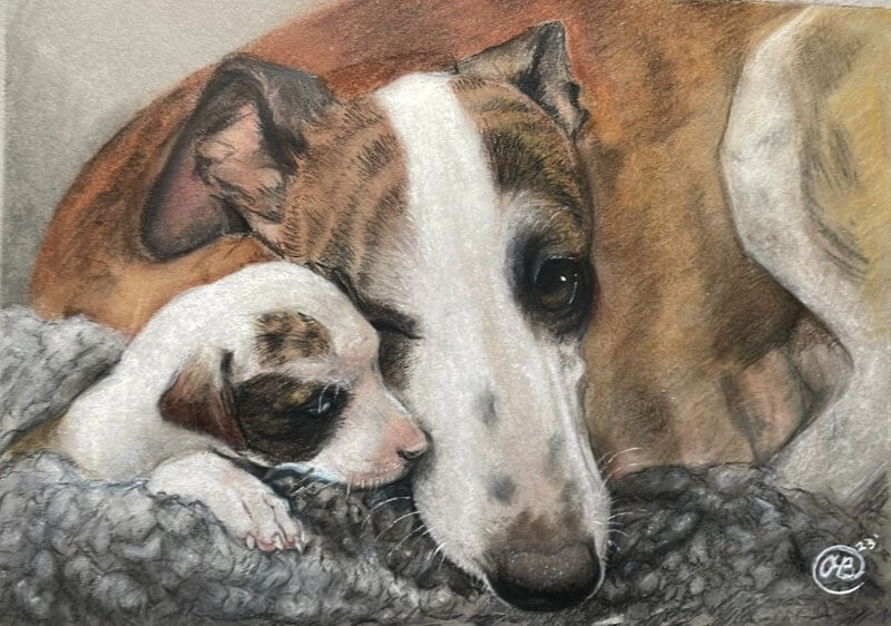 Painting of a Whippet dog and her puppy
