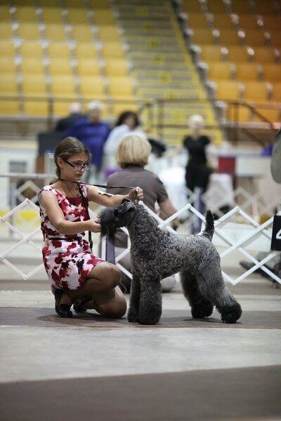 Young Angela Chase at a dog show