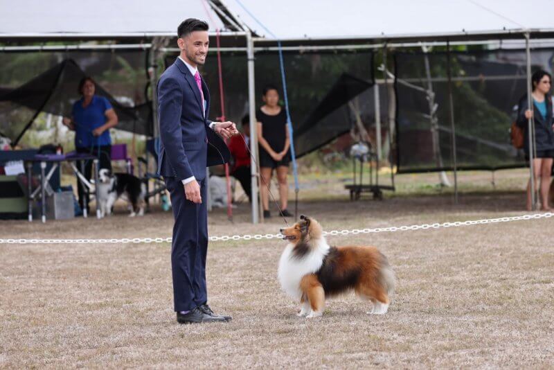 Jake Lum handling a dog at a show in Hawaii