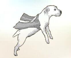 Raise the dog onto the back legs, and then exert slight pressure on the rib cage, top to bottom.