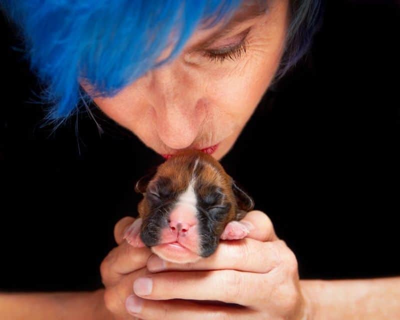 Paula Vandervoort with a Boxer puppy.