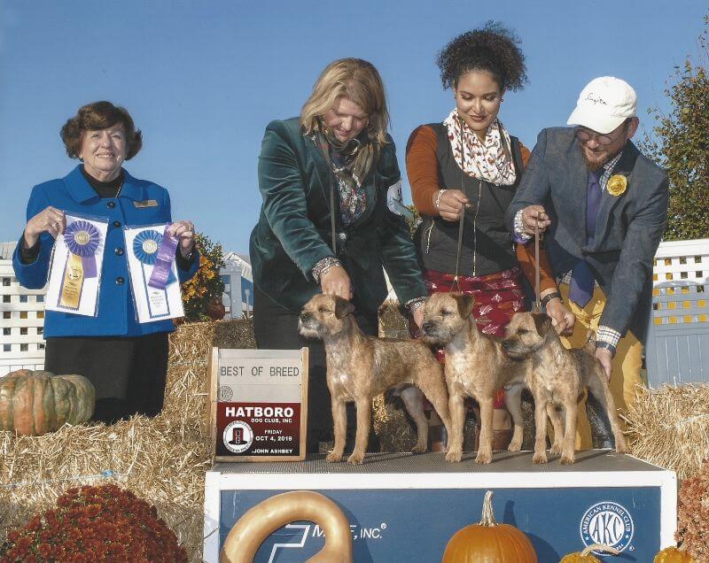 A group of people posing with their dogs at a dog show.