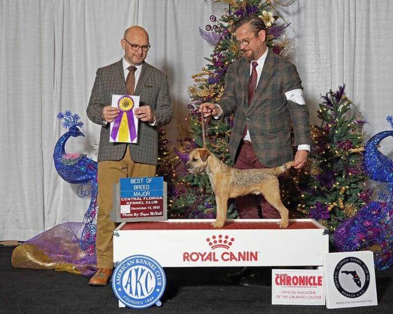 Two men standing next to a dog on a stage.