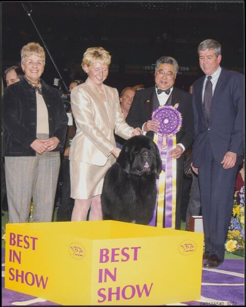 Dave Helming with CH Darbydale’s All Rise Pouch Cove (Josh) Best in Show at Westminster in 2004.