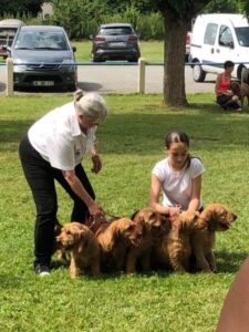 A woman is petting a group of puppies.