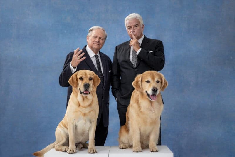 National Dog Show co-hosts David Frei (left) and John O’Hurley contemplate why it is that the immensely popular breeds Labrador Retriever (left) and Golden Retriever rarely win Best in Show honors at all-breed dog shows around the world.