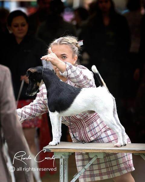 Annaliese North and her dog at a competition.