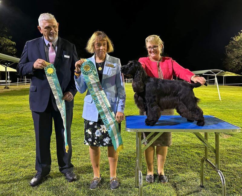 Three people standing next to a table with a black dog, at the Australian Dog Show.