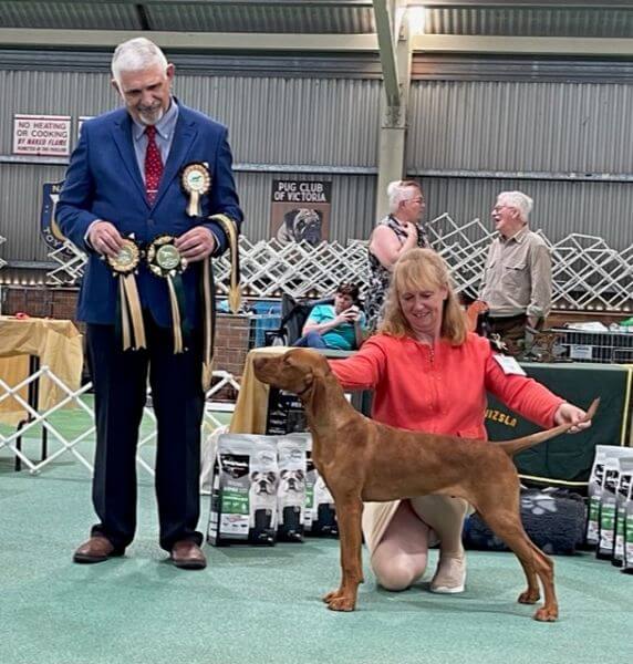 The runner-up Best in Show came from the Puppy Dog Class, Graebrook Mr. Fahrenheit.